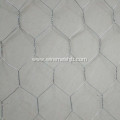 1'' Galvanized Hexagonal Chicken Wire Mesh